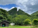 「強制動員」抜けた佐渡鉱山に…イコモス、「全体の歴史の展示」を勧告