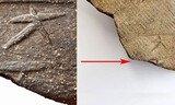 【独自】泥岩層から出土した大伽耶初の「大王」の痕跡…１５００年の謎を解くか