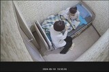 「拘束され死亡」精神病院、「ゾウも倒れる」高用量鎮静薬投与（１）=韓国