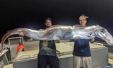 １１メートルの「終末魚」、オーストラリアで捕獲…馬の頭にタチウオの胴