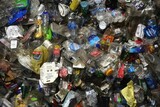 脳血管に蓄積したマイクロプラスチック、血栓になり認知・運動能力に悪影響