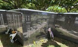 戦後８０年 沖縄慰霊の日に現地訪れた石破首相…市民ら「まだ戦争は終わっていない」