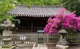 朝鮮王室の建物が丸ごと解体され日本の「祈りの家」に…観月堂が帰ってきた