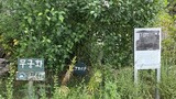 「被害者が一人でも多く生きている間、日本政府の謝罪・賠償が行われるべき」