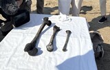 「朝鮮人１３６人水没」長生炭鉱で遺骨発見…事故から８３年経て