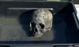 ８３年ぶりに世の光見た頭蓋骨…「１３６人の朝鮮人が水没」した長生炭鉱で発見