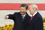 トランプ大統領の日程が決まれば習主席も動く…１１年ぶりの訪韓めぐり神経戦